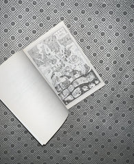 THE PRISONER'S THRONE: the Stolen Heir Series (Book 2) by Holly Black