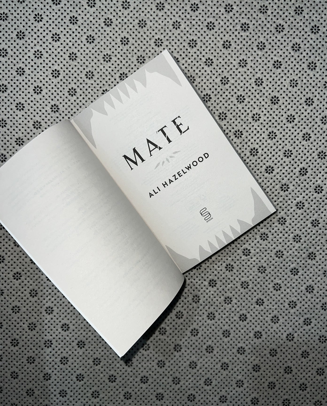 MATE by Ali Hazelwood