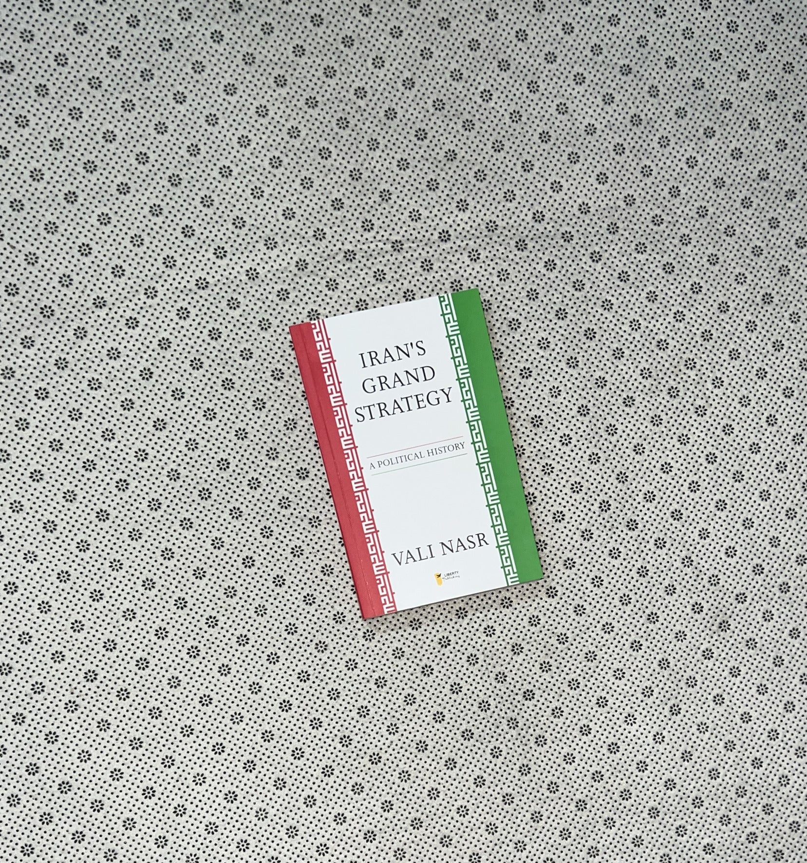IRAN'S GRAND STRATEGY: A Political History by Vali Nasr