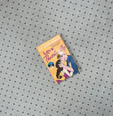 love theoretically by ali hazelwood