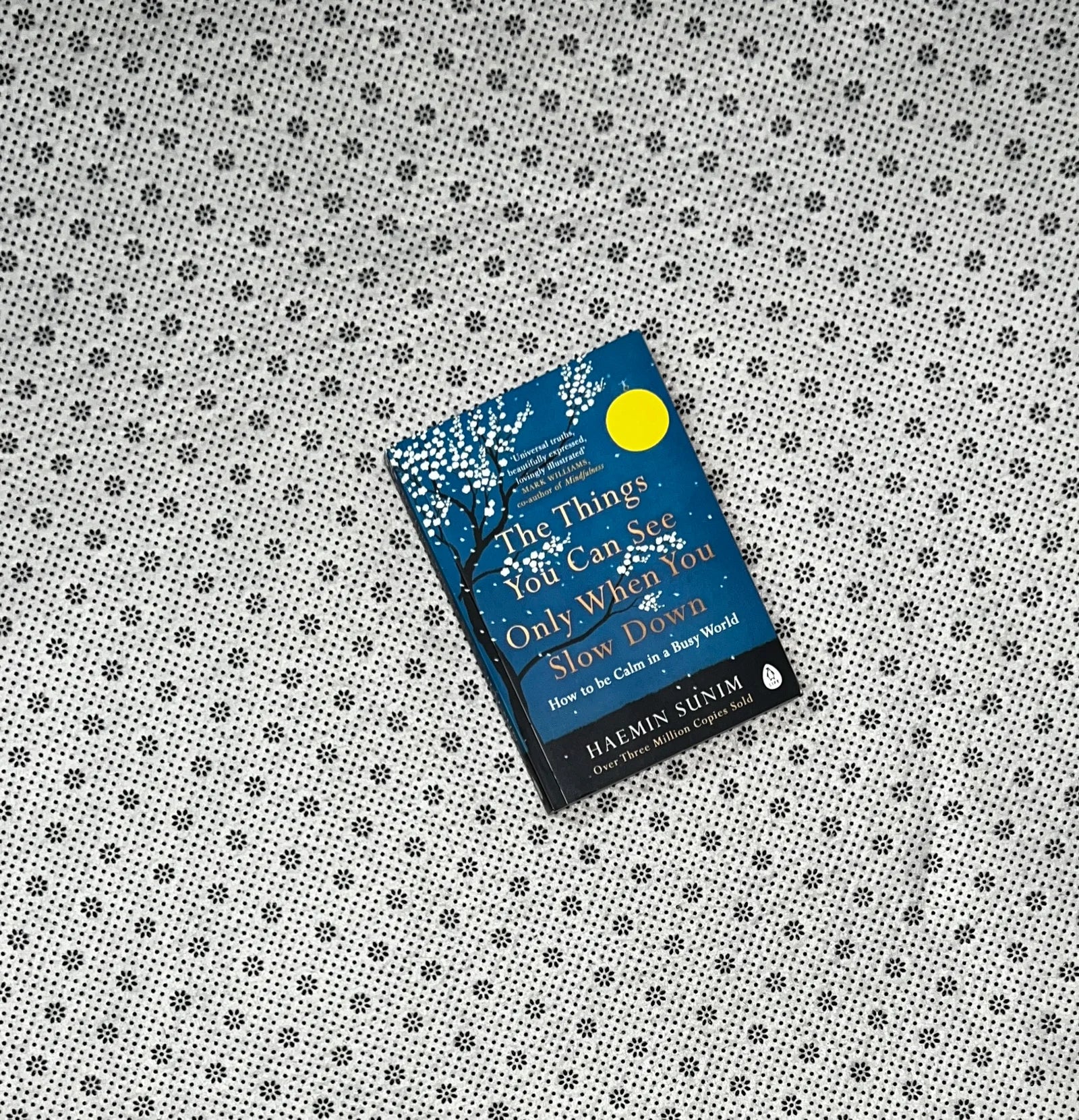 the things you can see only when you slow down how to be calm in a busy world by haemin sunim