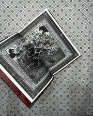 empire of the damned empire of the vampire book 2 by jay kristoff