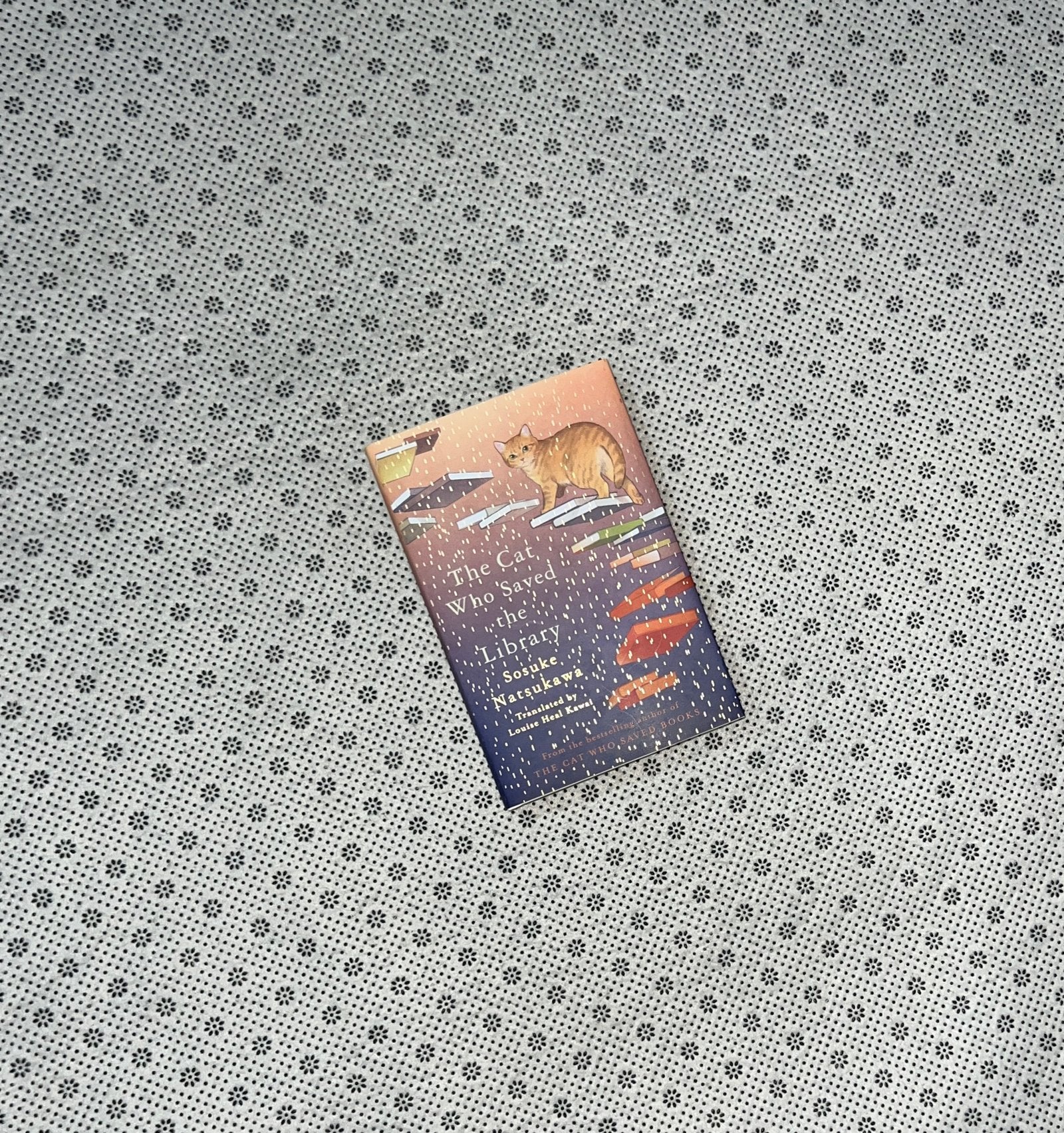 the cat who saved the library by sosuke natsukawa