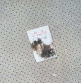 ye musafaten ye riazaten by nighat seema