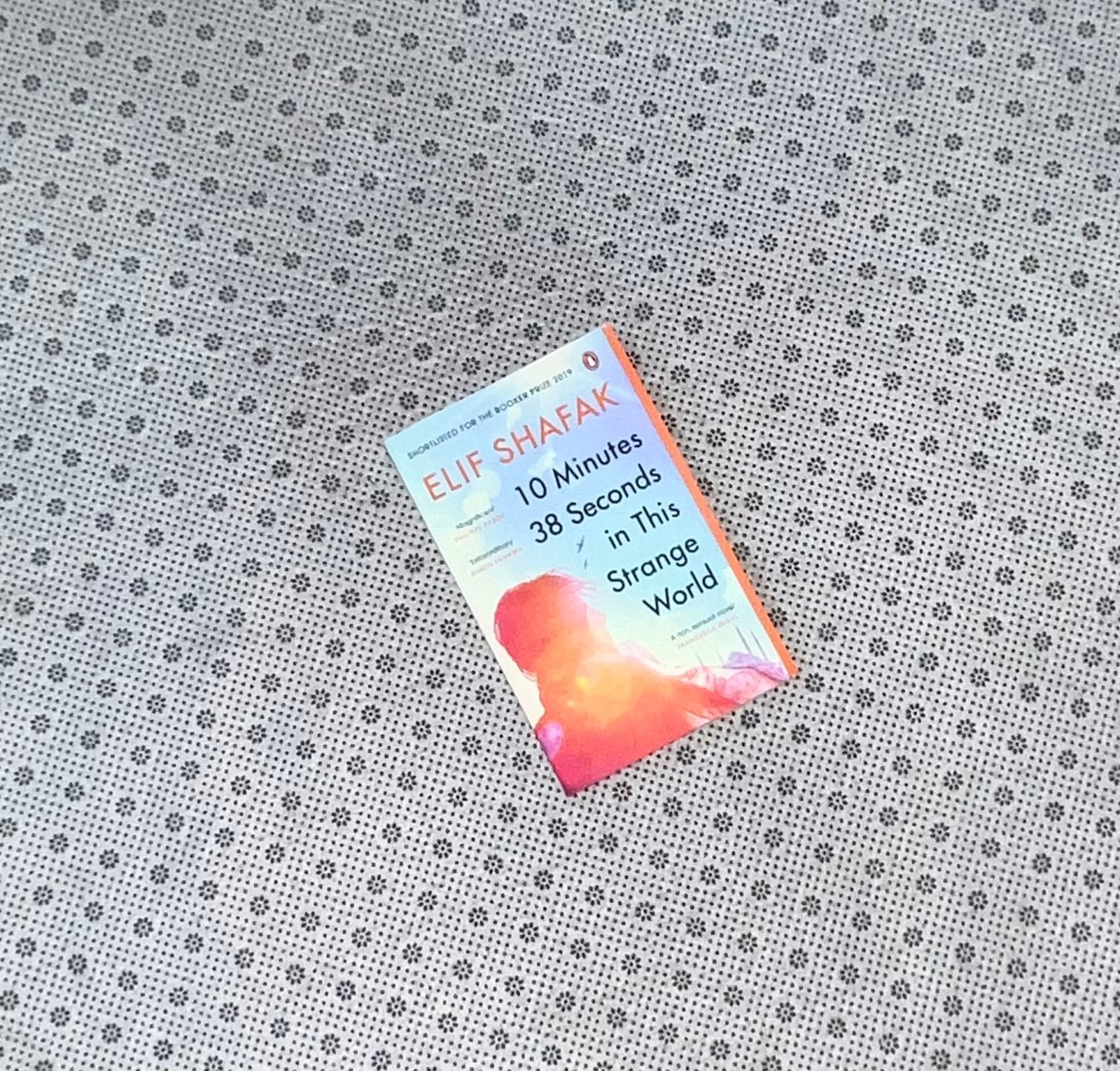 10 minutes 38 seconds in this strange world by elif shafak