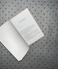 THE PRISONER'S THRONE: the Stolen Heir Series (Book 2) by Holly Black