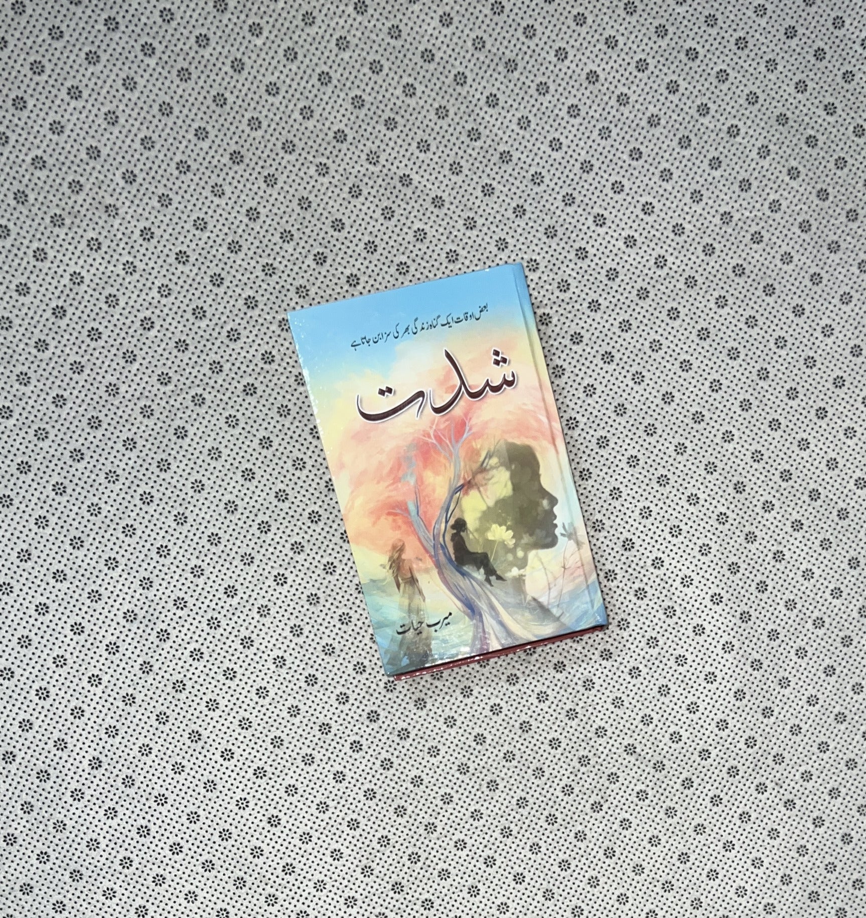 SHIDAT (Part 2) by Meerab Hayat