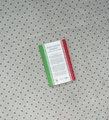 IRAN'S GRAND STRATEGY: A Political History by Vali Nasr