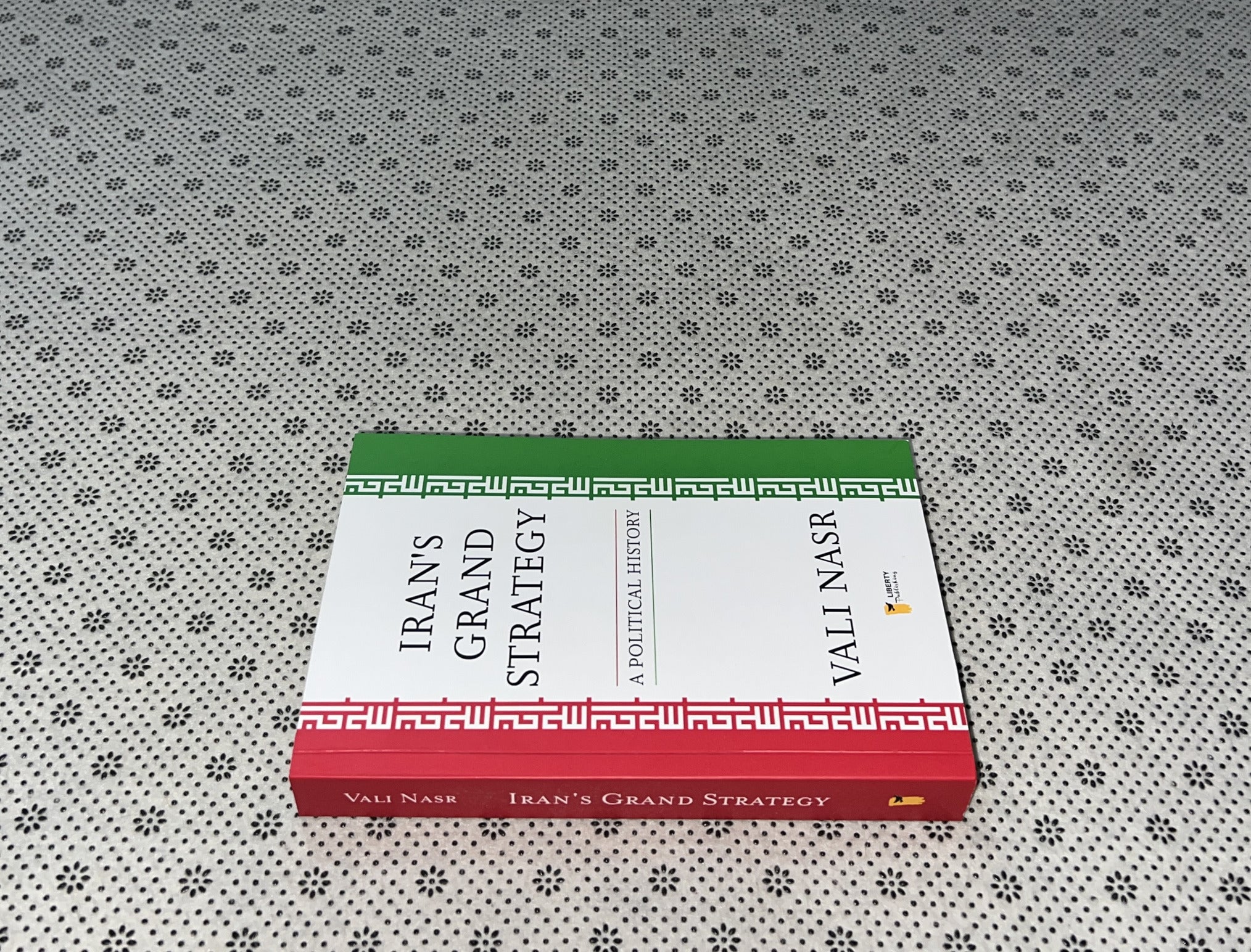 IRAN'S GRAND STRATEGY: A Political History by Vali Nasr