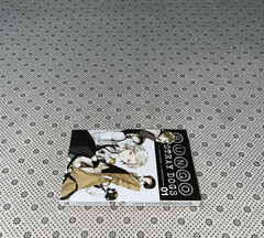 BUNGO STRAY DOGS (Volume 1) by Kafka Asagiri