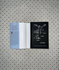 the divine comedy foiled cover edition by dante alighieri