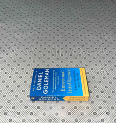 emotional intelligence why it can matter more than iq by daniel goleman