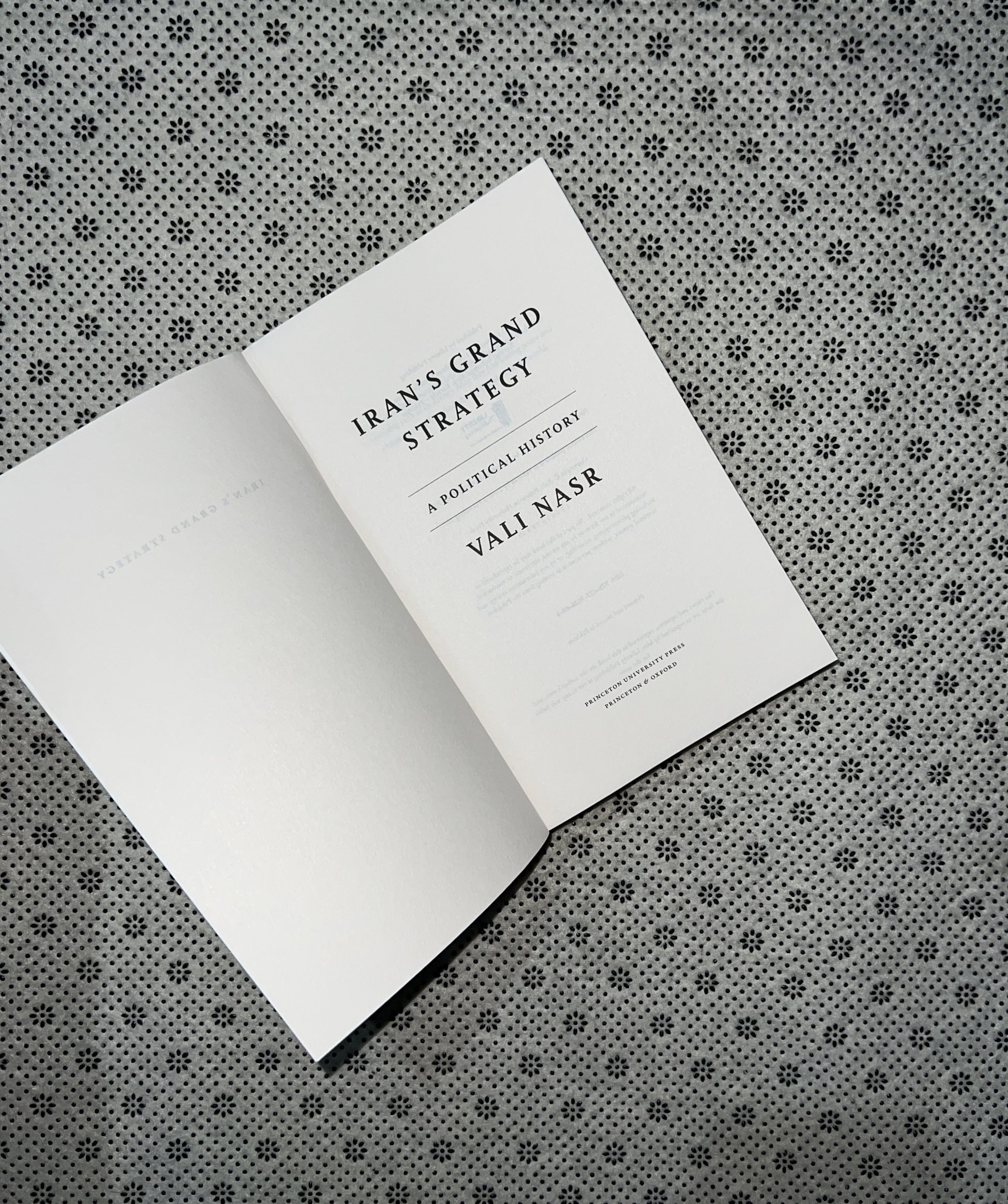 IRAN'S GRAND STRATEGY: A Political History by Vali Nasr