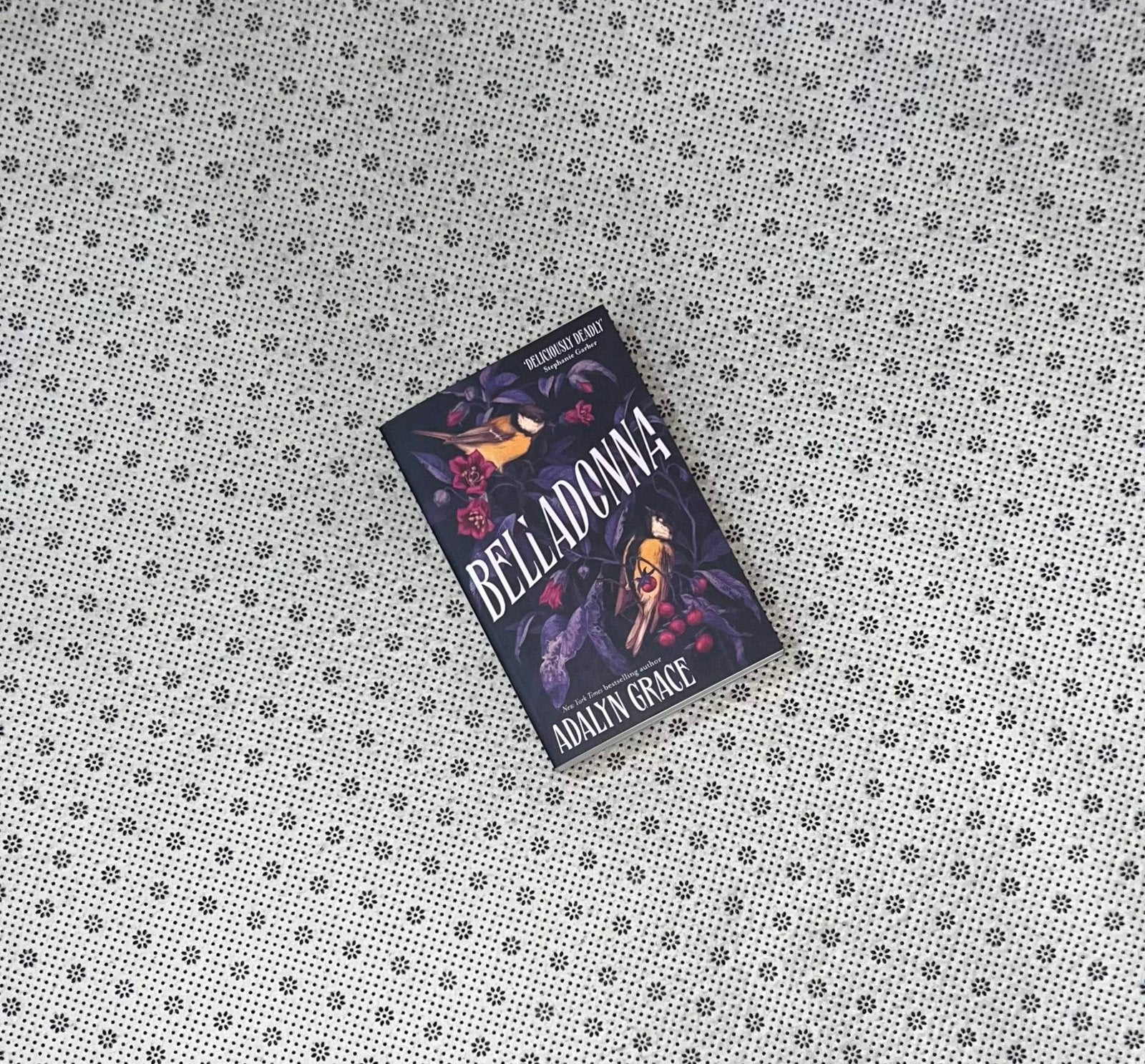 belladonna belladonna series book 1 by adalyn grace 1