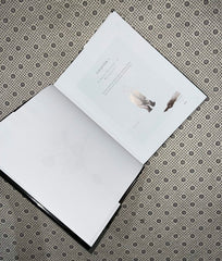 the universe in a nutshell by stephen hawking