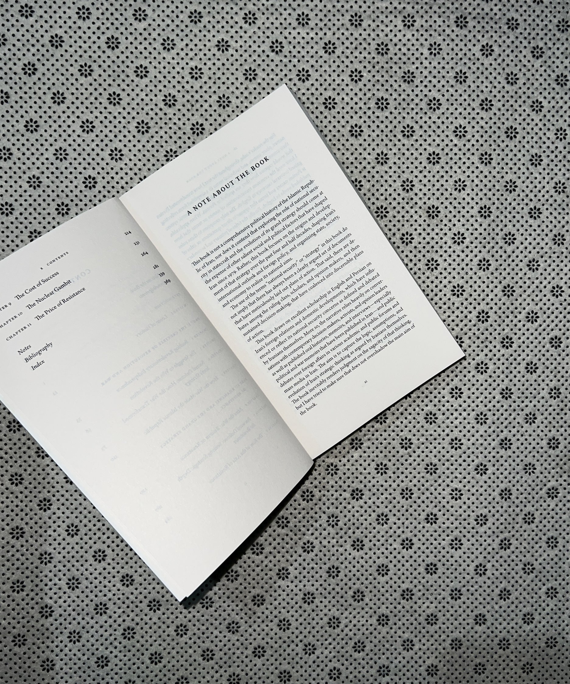 IRAN'S GRAND STRATEGY: A Political History by Vali Nasr