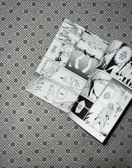 BUNGO STRAY DOGS (Volume 1) by Kafka Asagiri