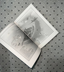 10 minutes 38 seconds in this strange world by elif shafak