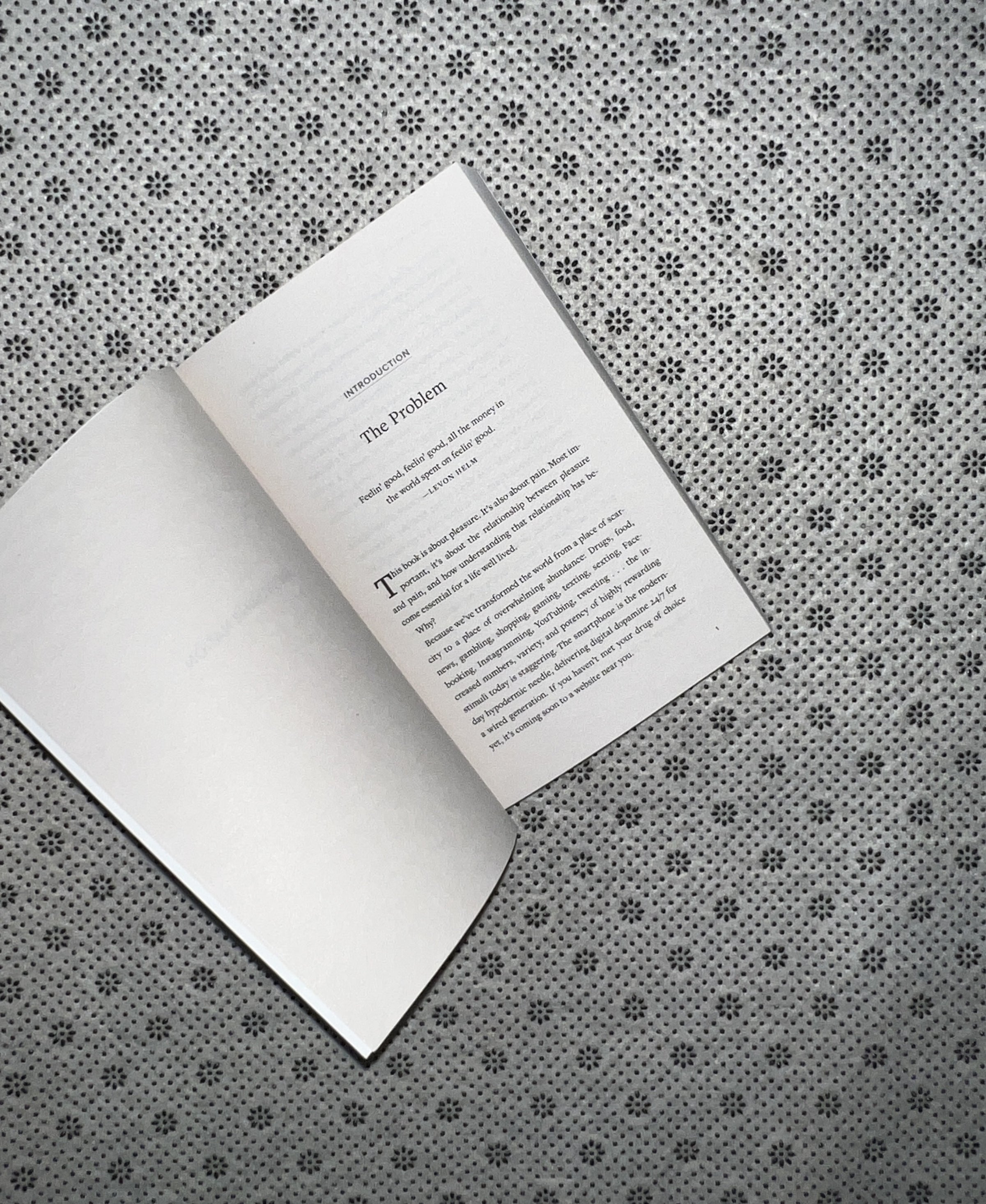 DOPAMINE NATION: Finding Balance In the Age Of Indulgence by Anna Lembke