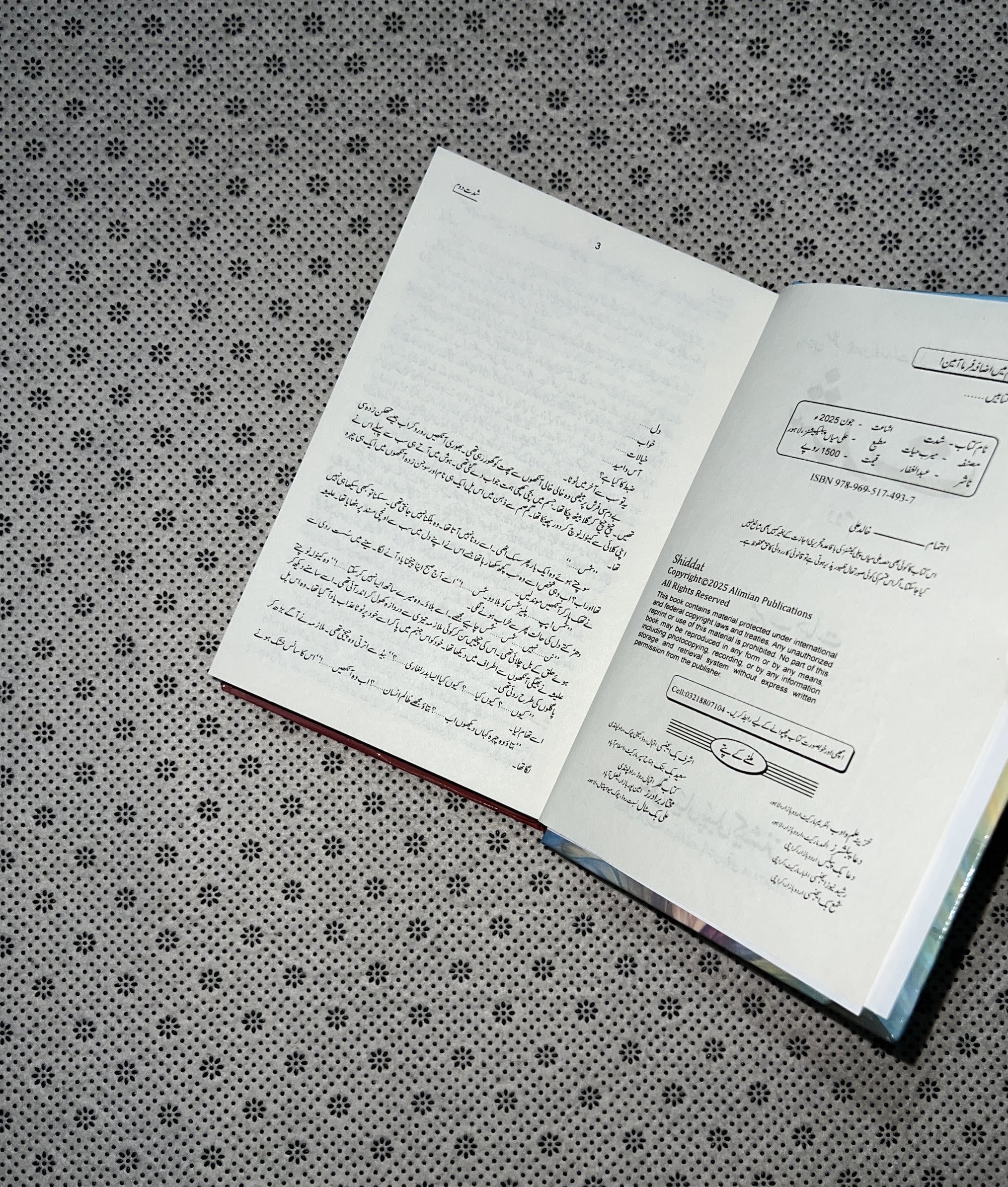 SHIDAT (Part 2) by Meerab Hayat