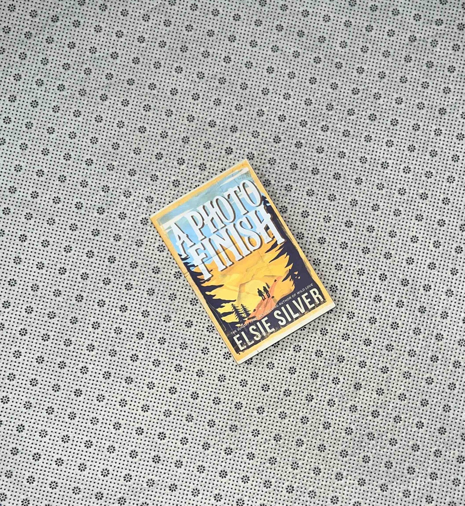 a photo finish gold rush ranch series book 1 by elsie silver