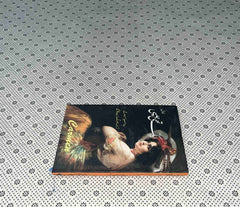 aik thi gypsy by aurang zeb qasmi