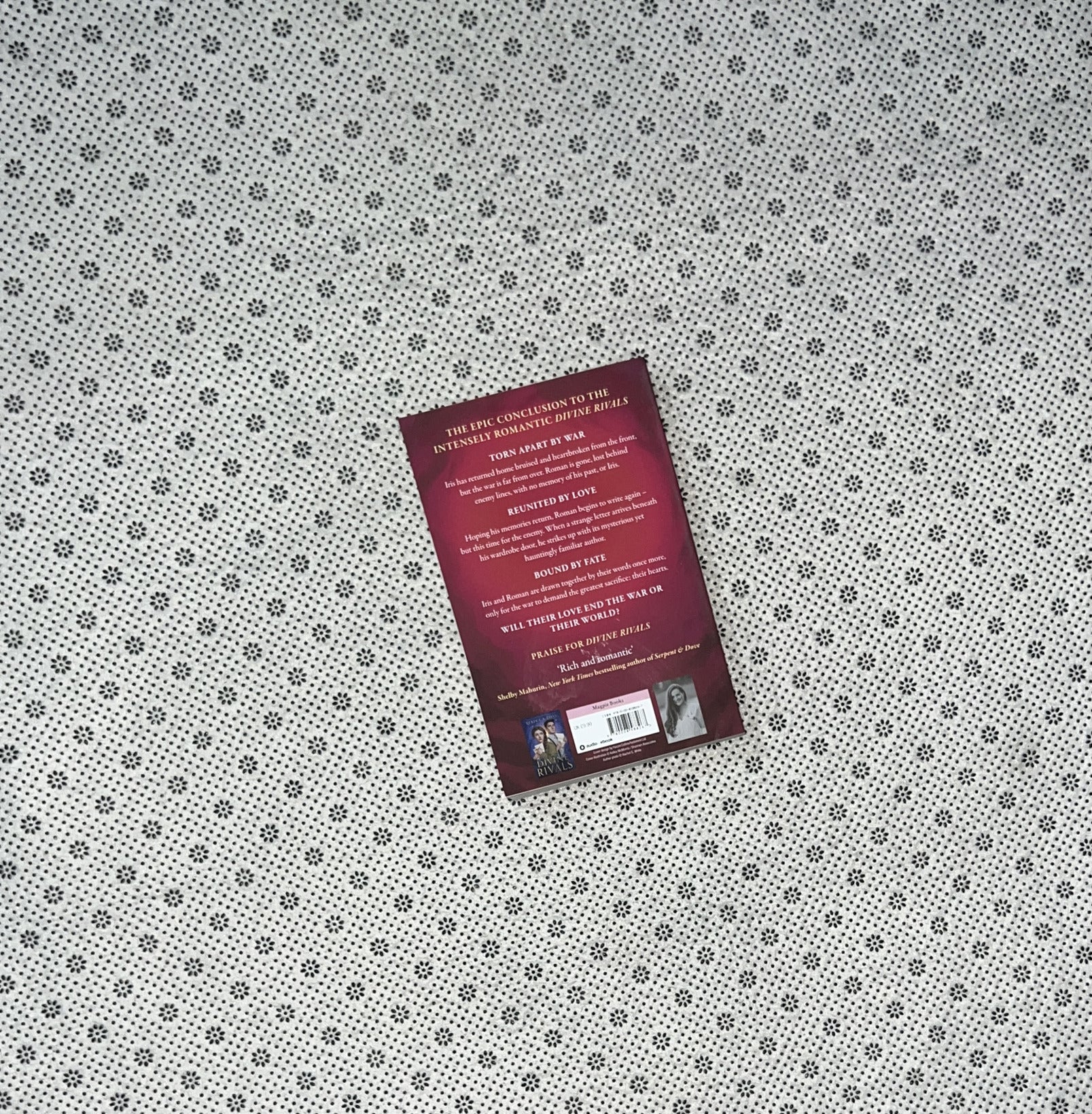 RUTHLESS VOWS: Letters Of Enchantment series (Book 2) by Rebecca Ross