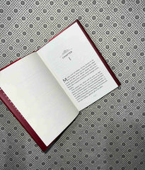 the mistake mystery molly the maid series book 2 by nita prose