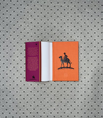 the alchemist the 25th anniversary edition golden coloured edges by paulo coelho