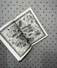 her radiant curse by elizabeth lim