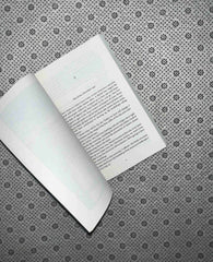 the prisoner of heaven the cemetery of forgotten series book 3 by carlos ruiz zafon 1