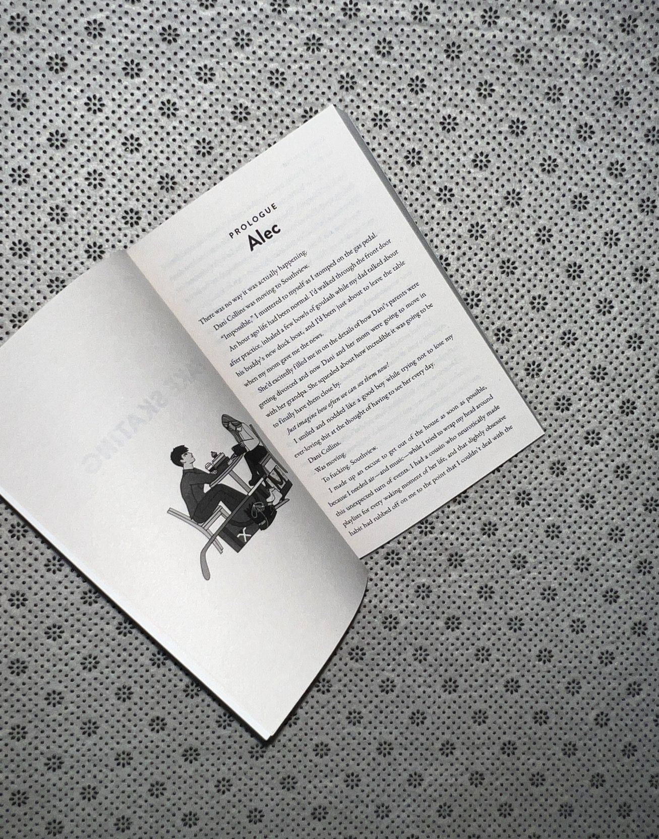 FAKE SKATING by Lynn Painter