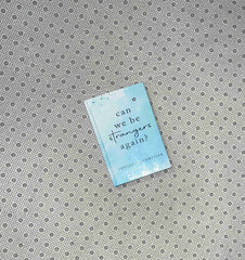 can we be strangers again by shrijeet shandilya