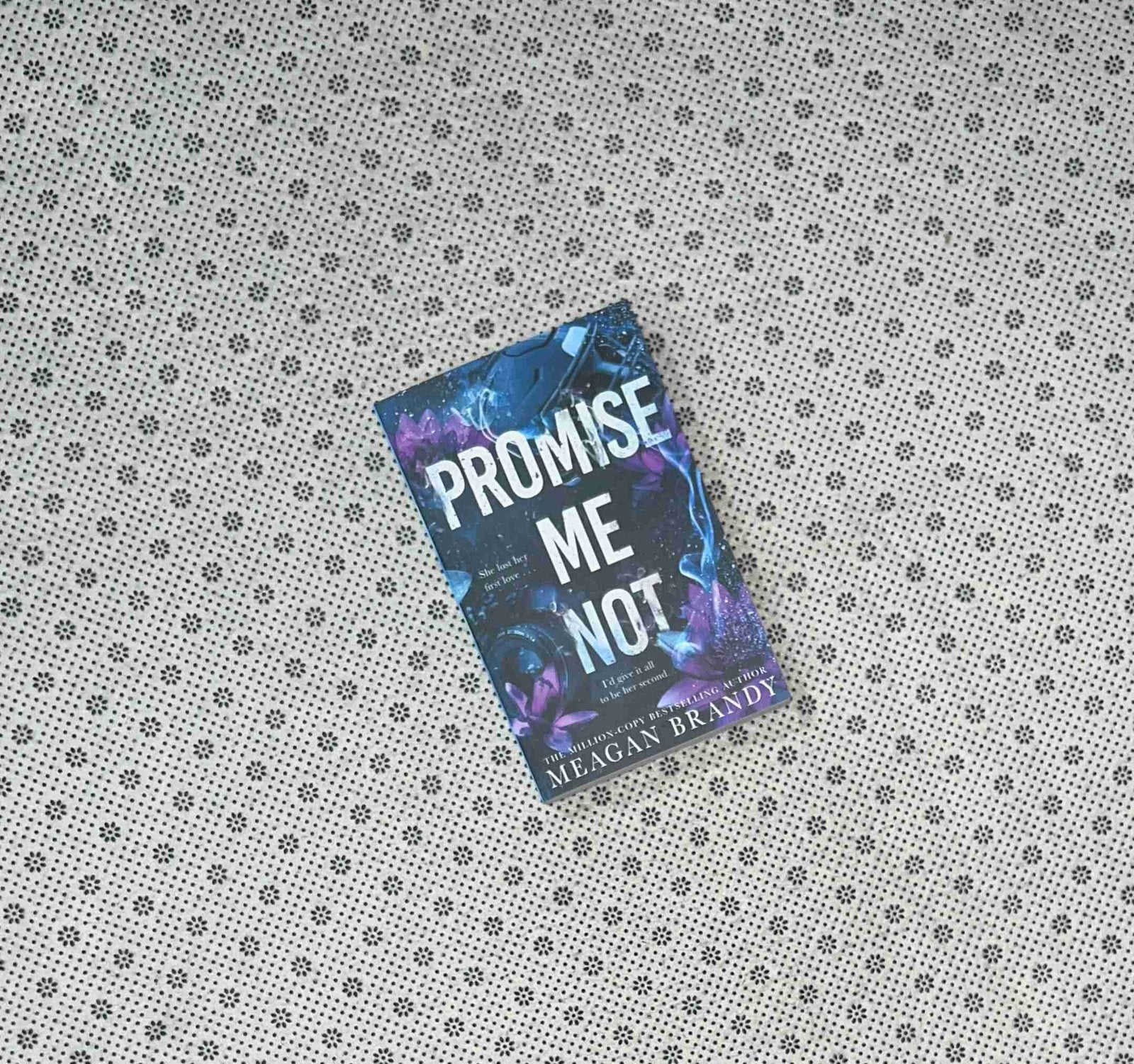 promise me not boys of avix series book 2 by meagan brandy