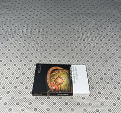 AROUND THE WORLD IN EIGHTY DAYS by Jules Verne