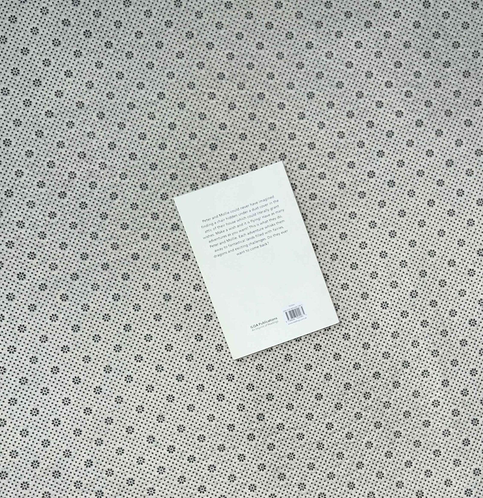 the adventures of the wishing chair wishing chair series book 1 by enid blyton