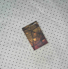 street haunting and other essays vintage classics by virginia woolf