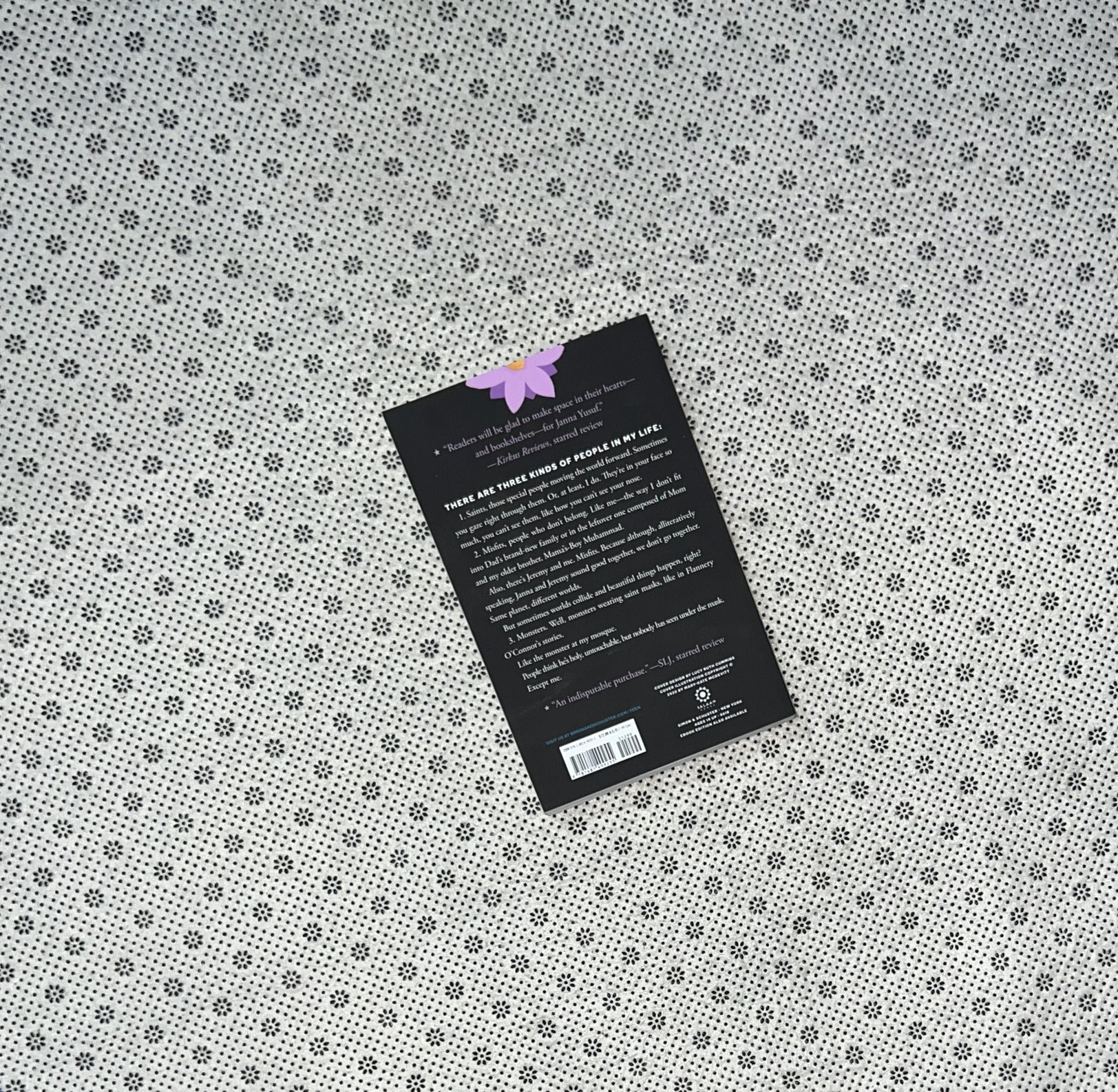 SAINTS AND MISFITS by S.K. Ali