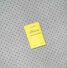 ab dil mein tum nahi i dont love you anymore urdu translation by rithvik singh