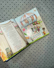 harry potter and the goblet of fire book 4 jim kay illustrated edition by j k rowling