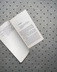 AROUND THE WORLD IN EIGHTY DAYS by Jules Verne