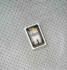 the labyrinth of the spirits the cemetery of forgotten series book 4 by carlos ruiz zafon