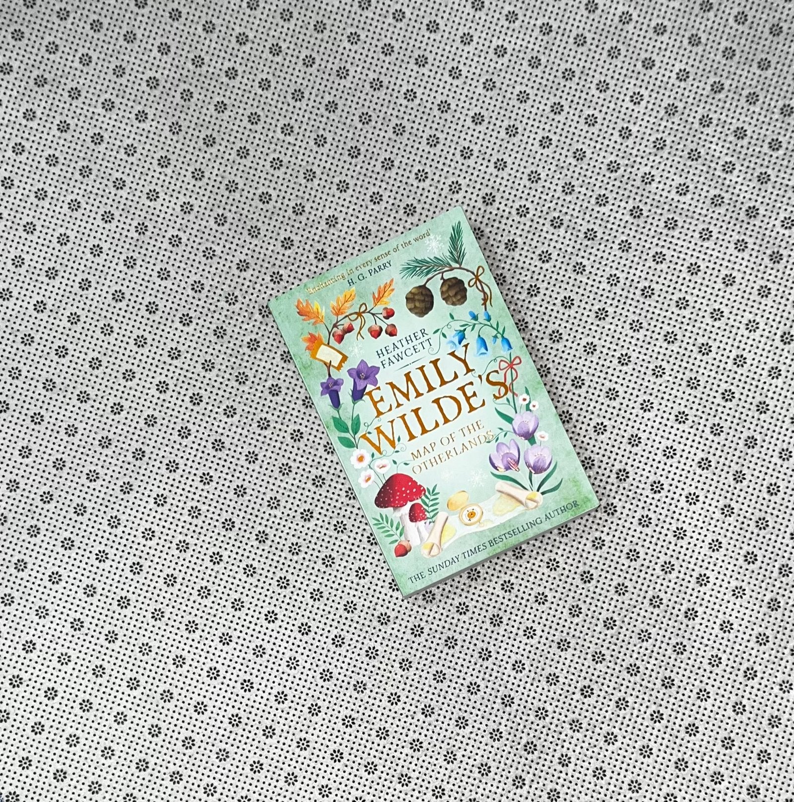 emily wildes map of the otherlands emily wilde series book 2 by heather fawcett