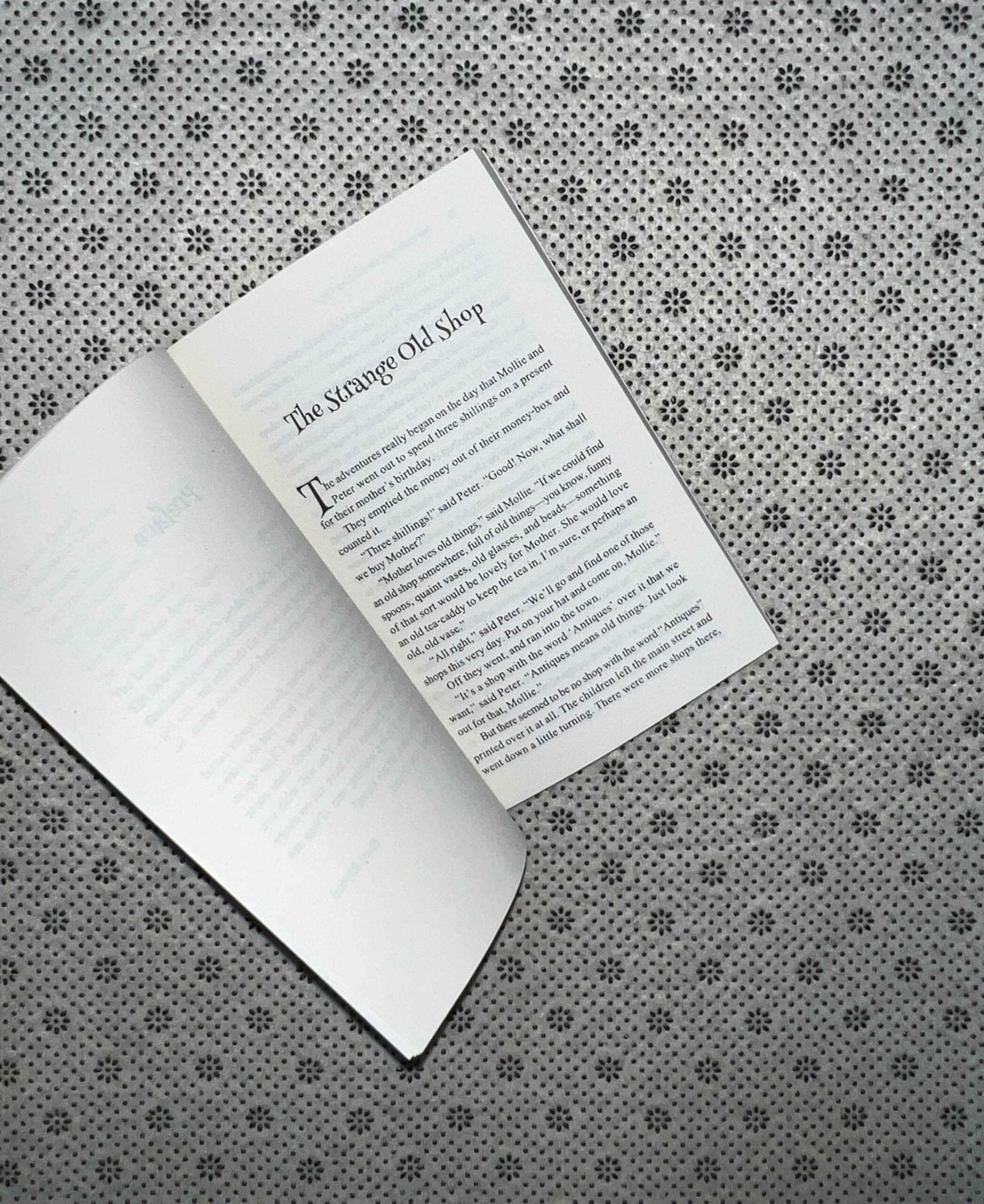 the adventures of the wishing chair wishing chair series book 1 by enid blyton