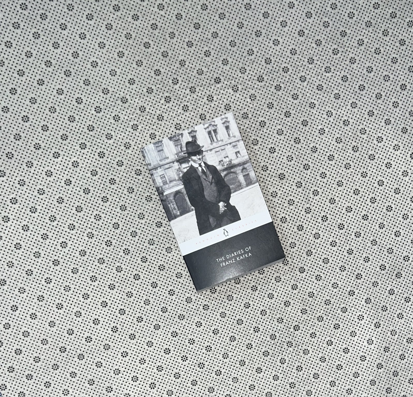 THE DIARIES OF FRANZ KAFKA by Franz Kafka