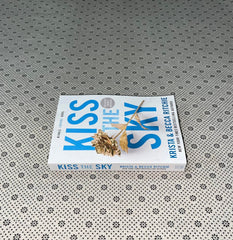 kiss the sky an addicted series book 4 by krista ritchie