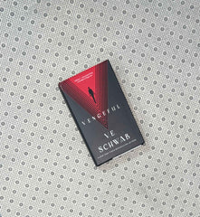 vengeful the villains series book 2 by v e schwab 1