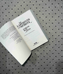 the labyrinth of the spirits the cemetery of forgotten series book 4 by carlos ruiz zafon