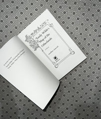 emily wildes map of the otherlands emily wilde series book 2 by heather fawcett