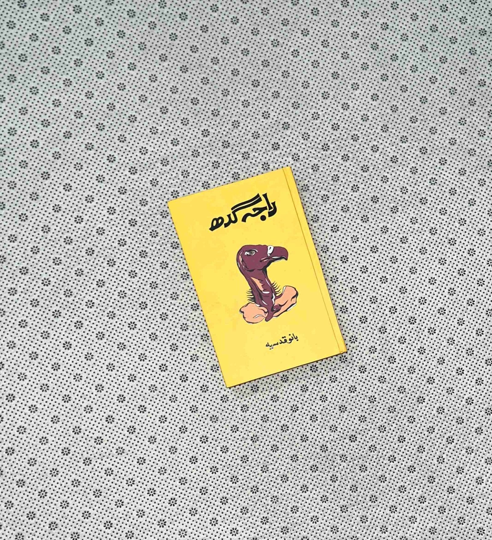 raja gidh by bano qudsia